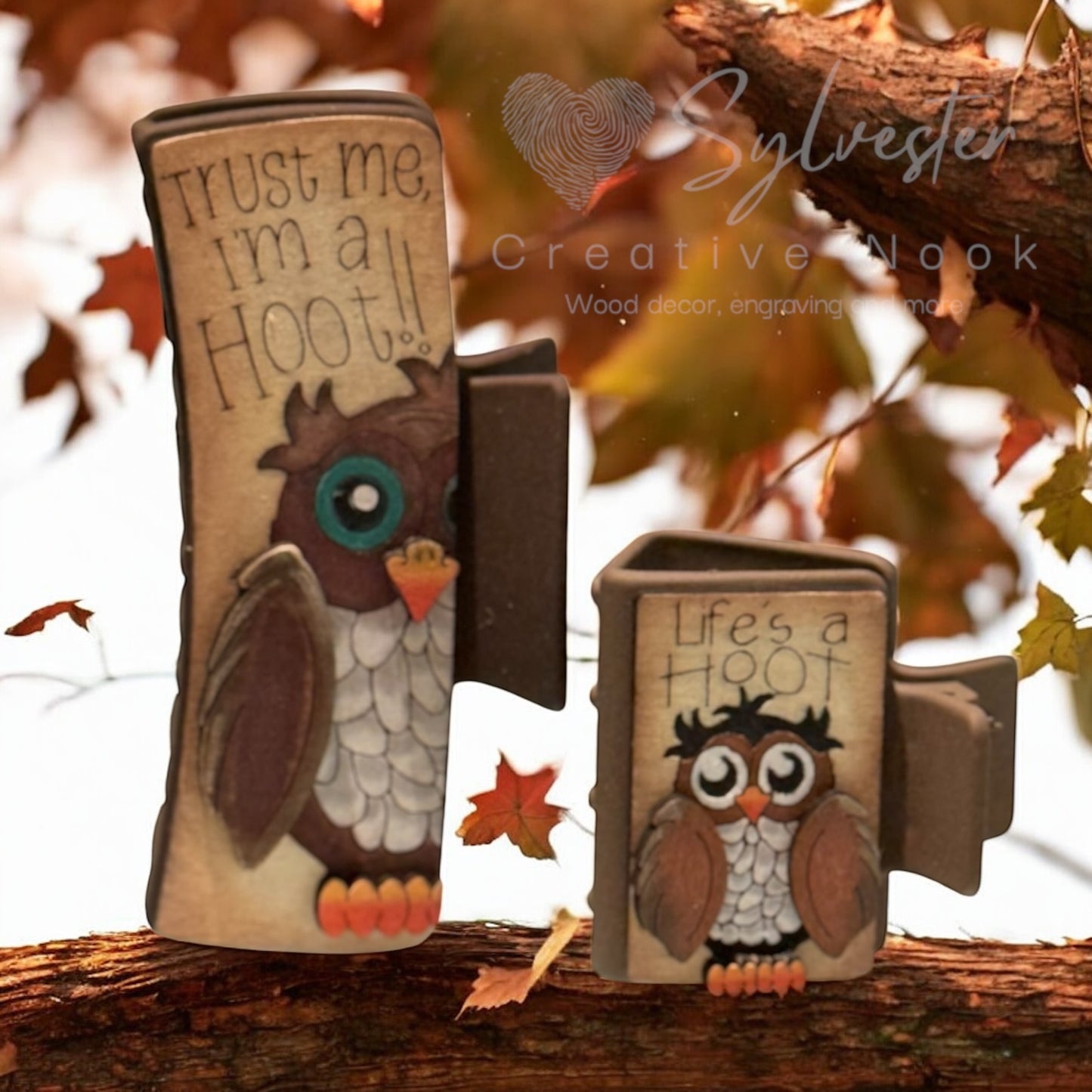 Hand Painted Hair Clip Duo